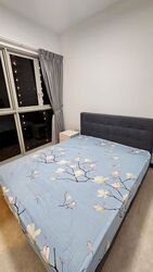 eCO (D16), Condominium #491004741